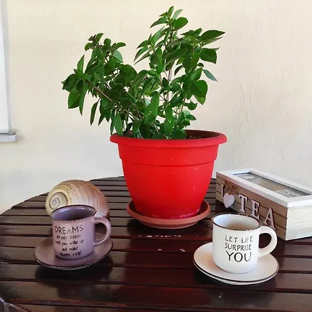 Апартаменты Casa Stella *